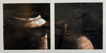 Abstract composition (diptych)

Set of two...