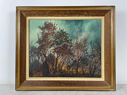 Walter Frank - Grand paysage expressionniste...