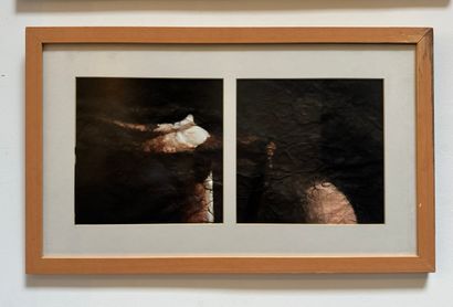 Abstract composition (diptych)

Set of two...
