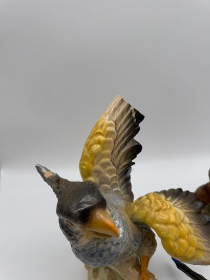 Lot de sujets en porcelaine à décor d’oiseaux
Ensemble...