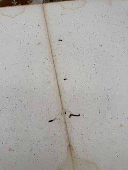 Album de peintures sur soie, travail asiatique...