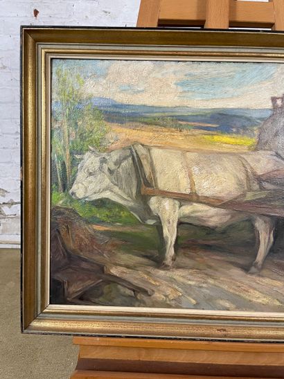 Jules Pierre Van Biesbroeck (1873-1965) -...