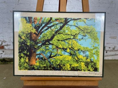 Claude Den Tandt - Tree, March 1991
Color...