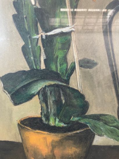 Degroef - Still Life with Cactus, 1932, after...