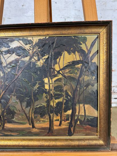 H. Brognez - Exotic undergrowth
Oil on canvas...