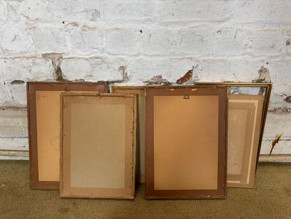 Set of 5 framed botanical engravings
Set...