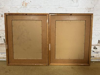 Set of 2 framed botanical lithographs
Set...