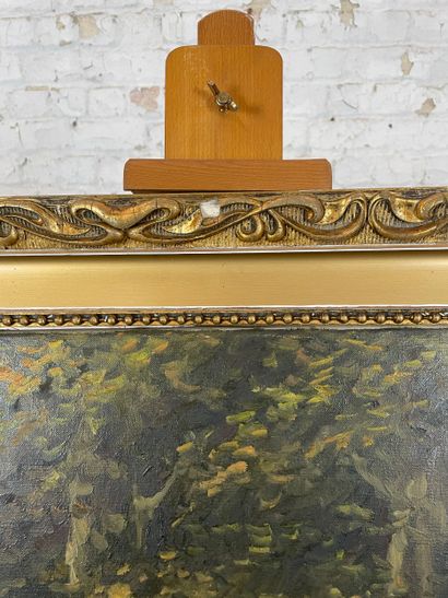 Path at Rouge-Cloître
Oil on canvas depicting...