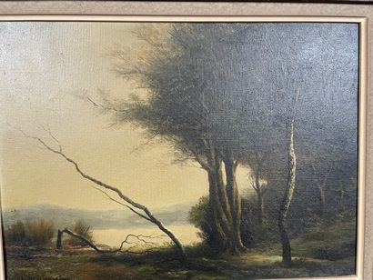 H. Deschamps (circa 1880-1920) - Lakescape
Oil...