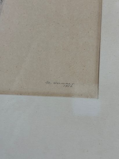 Margot Weemaes - Plant study (1962)
Pencil...