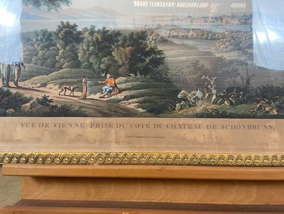 Bihl (19th century) - View of Vienna from...