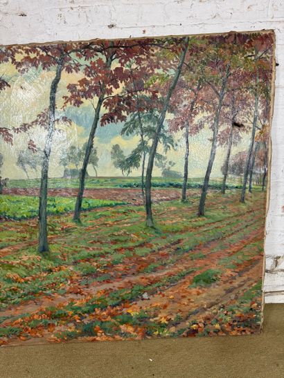 Oil on canvas depicting a wooded country...