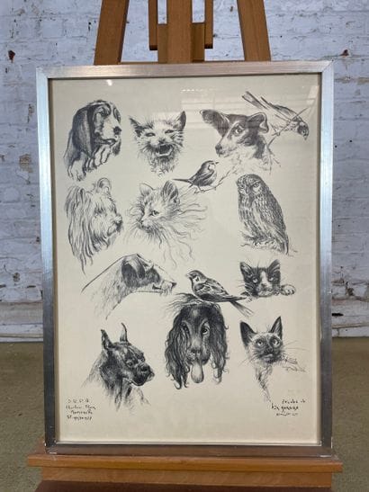 Animal studies (S.R.P.A. Charleroi)
Lithograph...