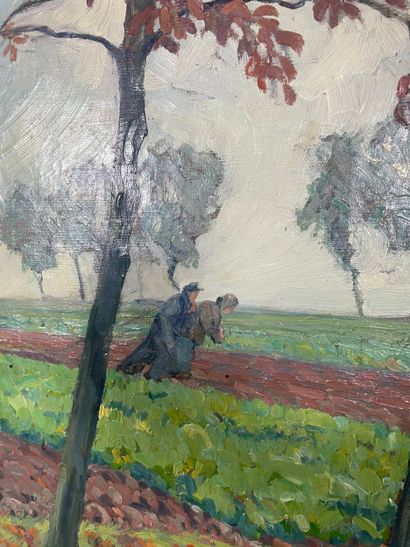 Landscape with trees at the edge of a field
Large...