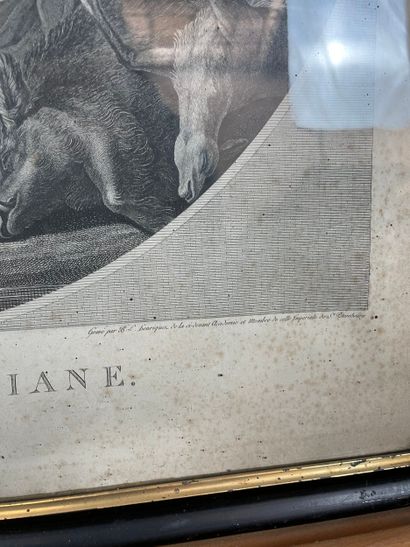 Christian Schenau (18th) - Diana's rest
Intaglio...