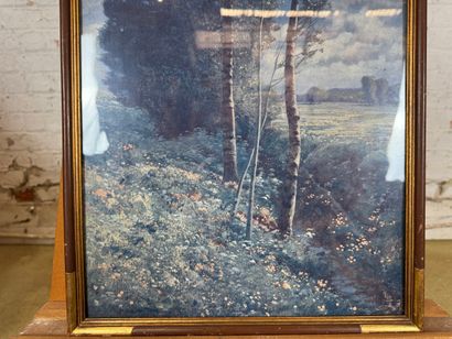 After Hermann Rüdisühli (1864-1944) - Forest...