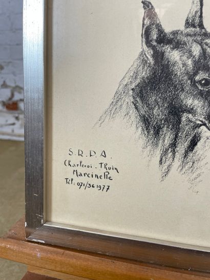 Animal studies (S.R.P.A. Charleroi)
Lithograph...