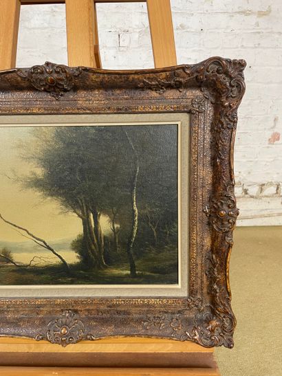 H. Deschamps (circa 1880-1920) - Lakescape
Oil...