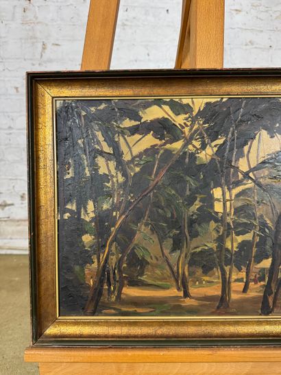 H. Brognez - Exotic undergrowth
Oil on canvas...