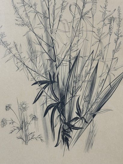 Margot Weemaes - Plant study (1962)
Pencil...