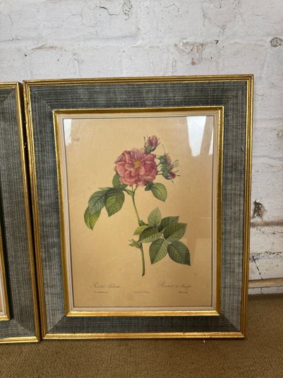 Set of 2 framed botanical lithographs
Set...
