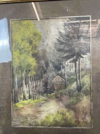 Forest path 
Watercolor on paper depicting...