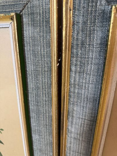 Set of 2 framed botanical lithographs
Set...