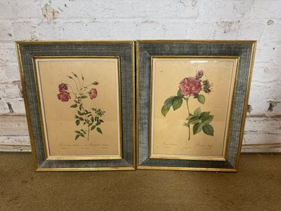 Set of 2 framed botanical lithographs
Set...