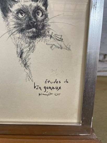 Animal studies (S.R.P.A. Charleroi)
Lithograph...