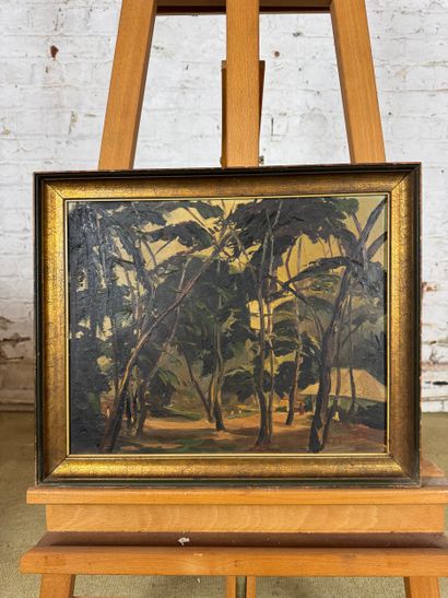 H. Brognez - Exotic undergrowth
Oil on canvas...