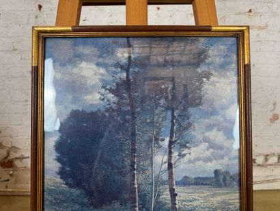 After Hermann Rüdisühli (1864-1944) - Forest...