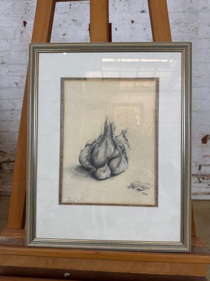 Oostende - Study of a head of garlic (1992)
Charcoal...