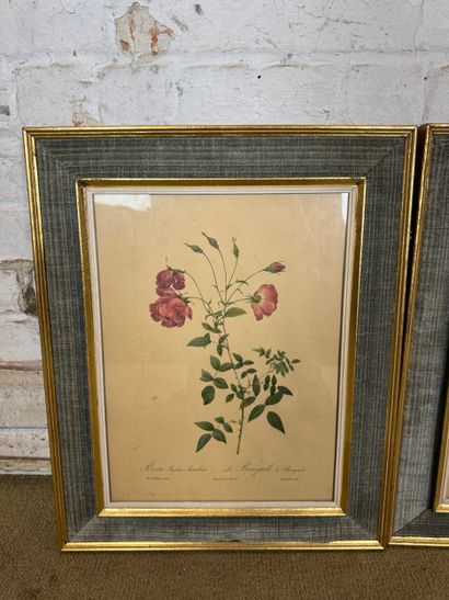 Set of 2 framed botanical lithographs
Set...