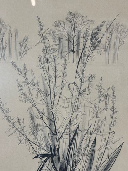 Margot Weemaes - Plant study (1962)
Pencil...