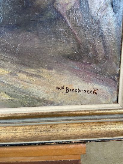 Jules Pierre Van Biesbroeck (1873-1965) -...