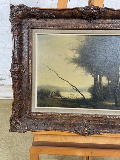 H. Deschamps (circa 1880-1920) - Lakescape
Oil...