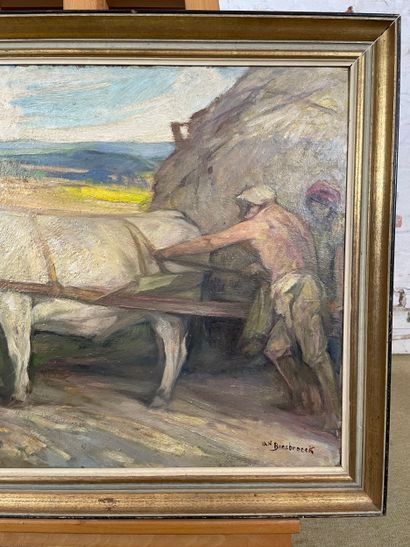 Jules Pierre Van Biesbroeck (1873-1965) -...