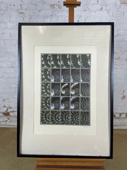T. H. Decelle - The Nautilus, 2003
Color...