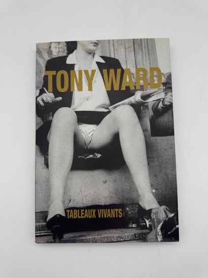 Tony Ward (b. 1963) Obsessions / Tableaux...