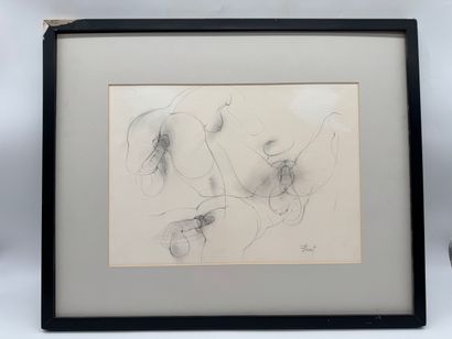 Lucien Braet (1924-1980) Erotic anatomical...