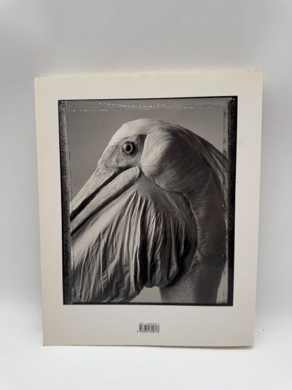 Bettina Rheims (b. 1952) Set of 10 photographic...