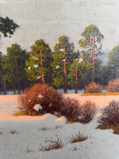 Fritz Müller-Landeck (1865-1942) - Paysage...