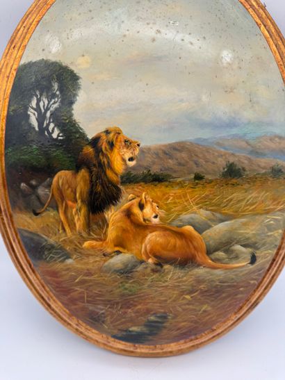 Oil on curved wood - Lions in the savannah
Painting...