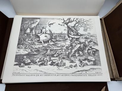 Infolio portfolio by Pieter Bruegel the Elder...