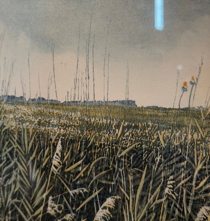 Phil Greenwood (b. 1943) Stormgrass, 1978
Etching,...