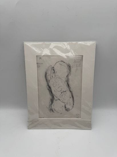 German school (20th century) - Anatomical...