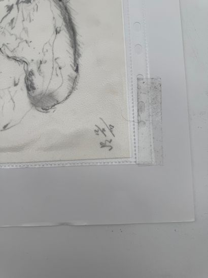 German school (20th century) - Anatomical...