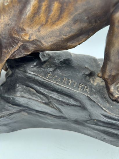 Thomas François Cartier (1879-1943) - Panther
Regula...