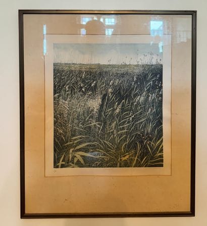 Phil Greenwood (b. 1943) Stormgrass, 1978
Etching,...