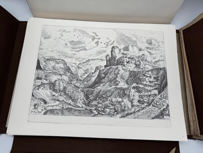 Infolio portfolio by Pieter Bruegel the Elder...